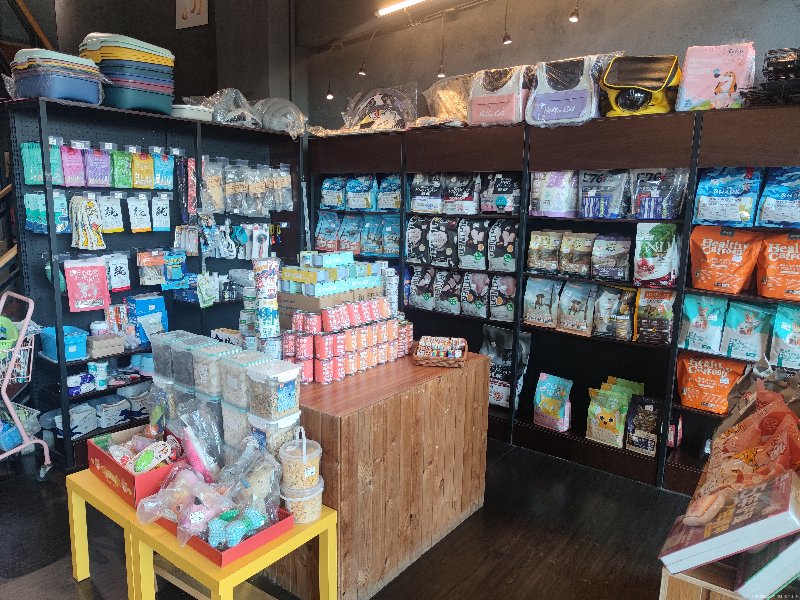 宠物友好生活的潮流：成都宠物用品店观察