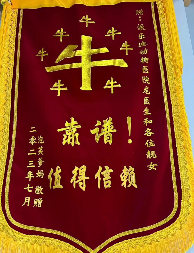 宠物界的小小天堂：成都成华区宠物店探秘