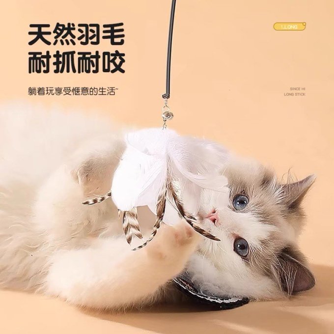 猫咪用品